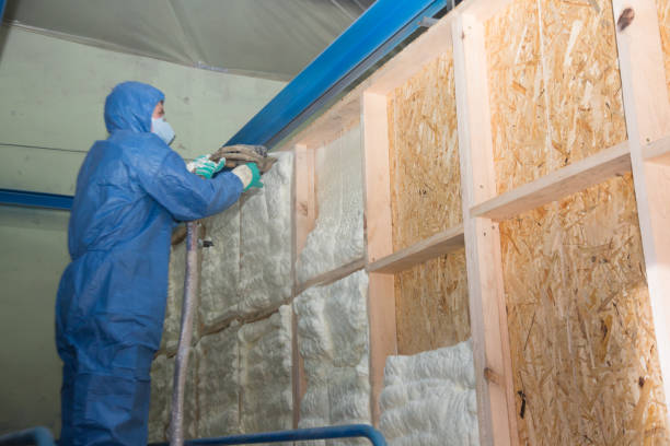 Attic Insulation Near Me in Forest City, IA